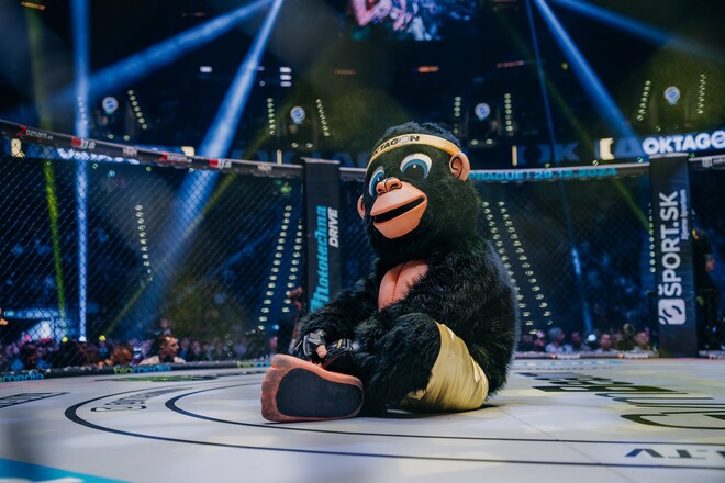 Oktagon MMA собрал рекордные 60 тысяч зрителей на турнире в Европе. Узнайте, как чешская организация стала крупнейшей в континентальной MMA-сцене.