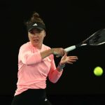 Еліна Світоліна розповіла, скільки коштує утримання команди та підготовка до турнірів. Щорічно тенісистка витрачає на це від 400 до 600 тисяч доларів.