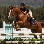 Що таке кінний спорт: усе про види та користь