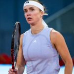 Еліна Світоліна претендує на звання удару місяця в турі WTA