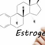 Естроген – ключовий гормон для здоров’я та спортивних результатів. Дізнайтеся про його роль, вплив і значення в організмі.