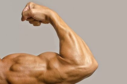 Відсутність болю в м’язах після тренування — це нормально чи ознака проблем? Дізнайтесь про причини, наслідки та особливості м’язового відновлення.
