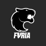 Дізнайтеся, хто грає у Furia Esports, який її склад, хто є власником та капітаном команди. Огляд досягнень Furia на турнірах 2024–2025 років.