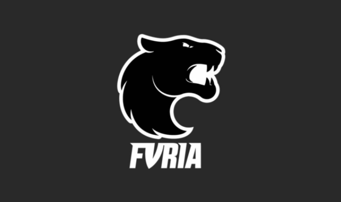 Дізнайтеся, хто грає у Furia Esports, який її склад, хто є власником та капітаном команди. Огляд досягнень Furia на турнірах 2024–2025 років.