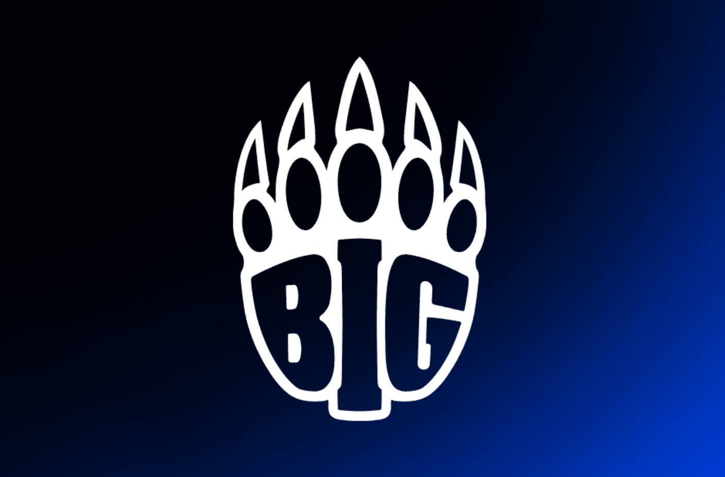 Огляд команди BIG CS:GO: склад, статистика, досягнення, зарплати гравців та власник команди у 2025 році.