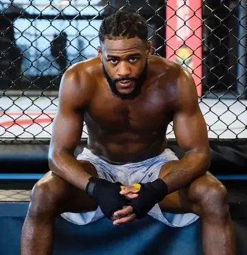 UFC Fight Night: Стерлинг – Залал — кард, прогноз и где смотреть турнир