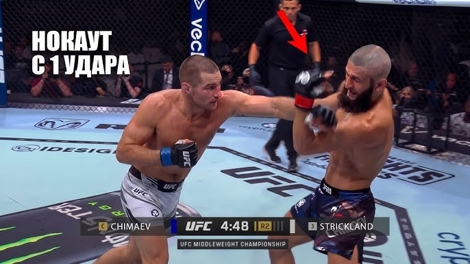 Шон Стрикленд сенсационно вернул пояс UFC после боя с Хамзатом Чимаевым: результатт поединка 