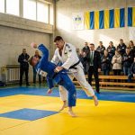 Правила дзюдо для начинающих в 2026 году: простое объяснение