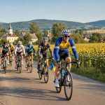 Спортивные разряды по велоспорту в Украине в 2026 году: как получить